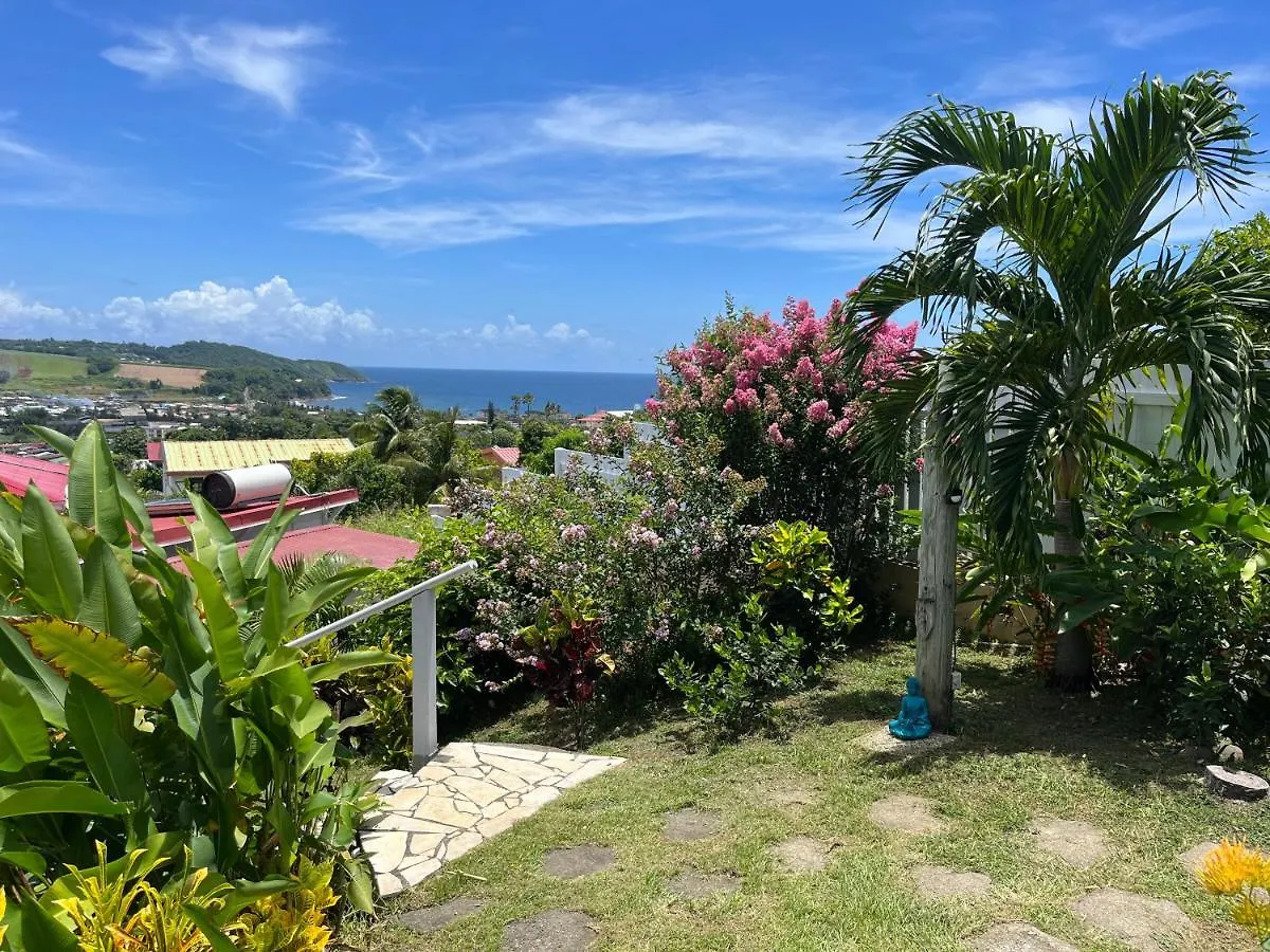 Apartment Studio Ti' Colibri Sainte-Marie